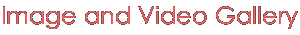Image and Video Gallery